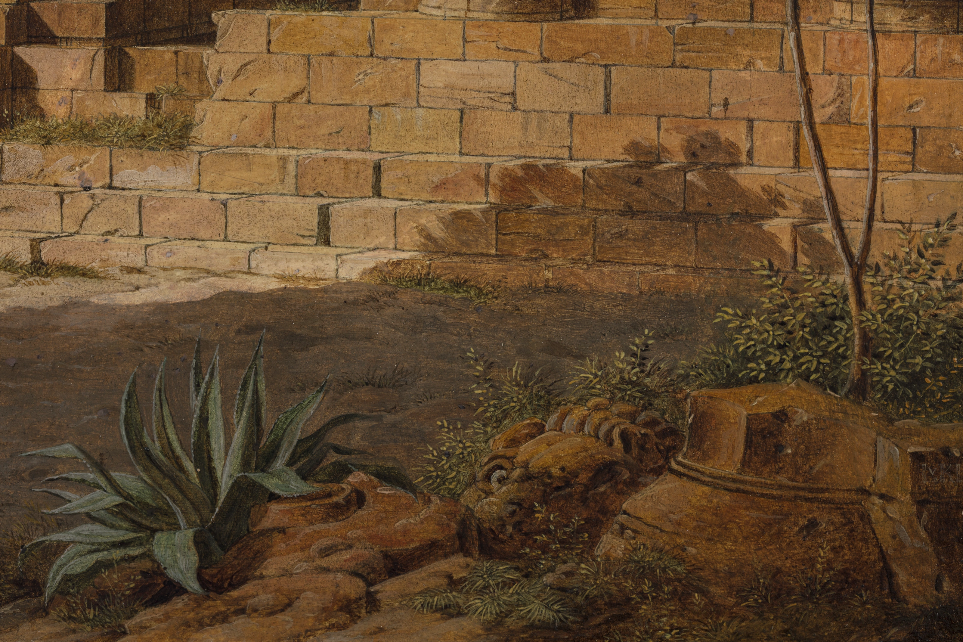Detail: Agave und Löwenkopf
