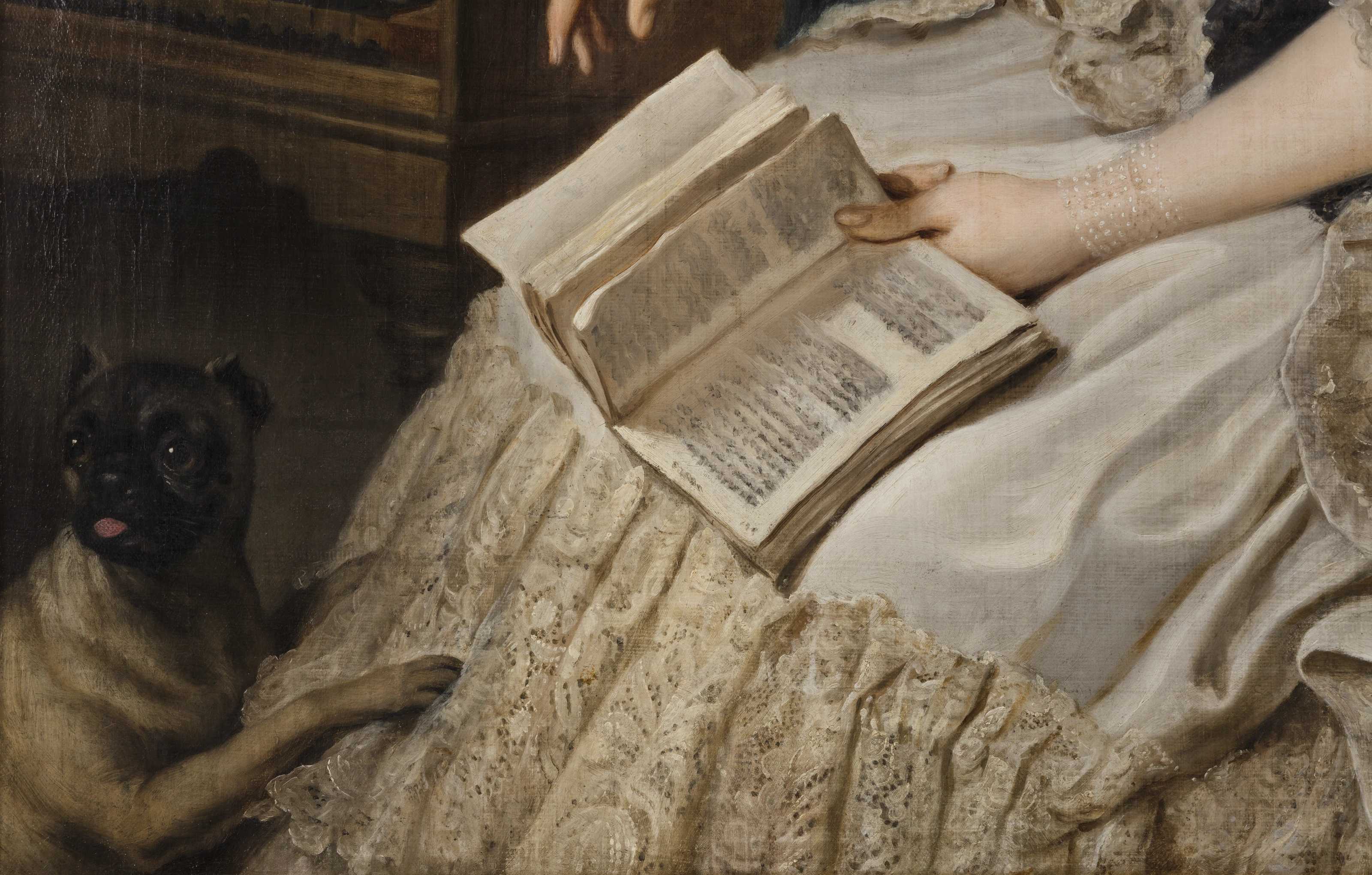 Detail: Mops und aufgeschlagenes Buch