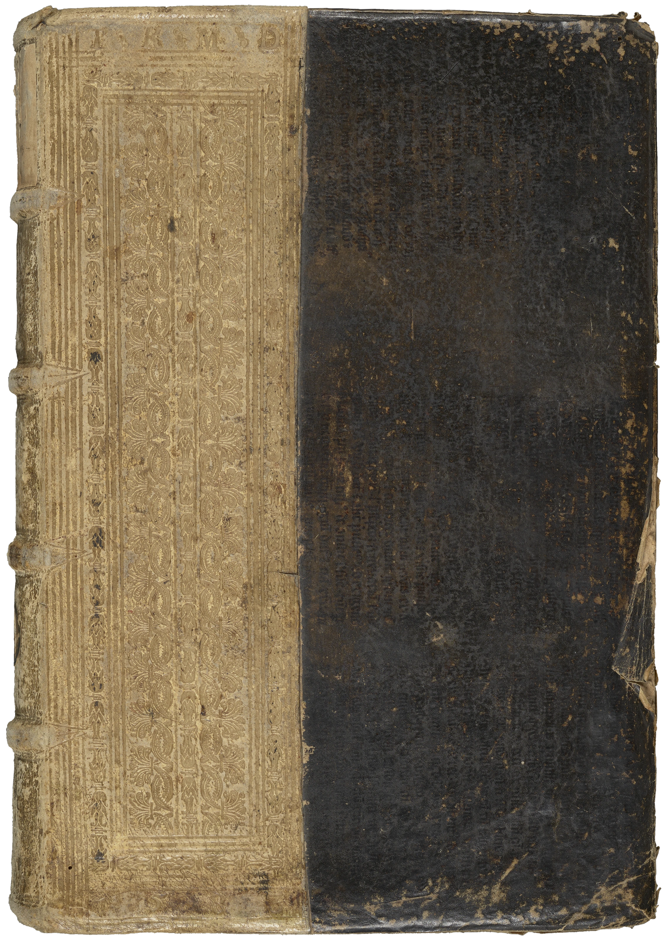 Johannes Kentmann/Theophilus Kentmann: Codex Kentmanus, 1549–1583